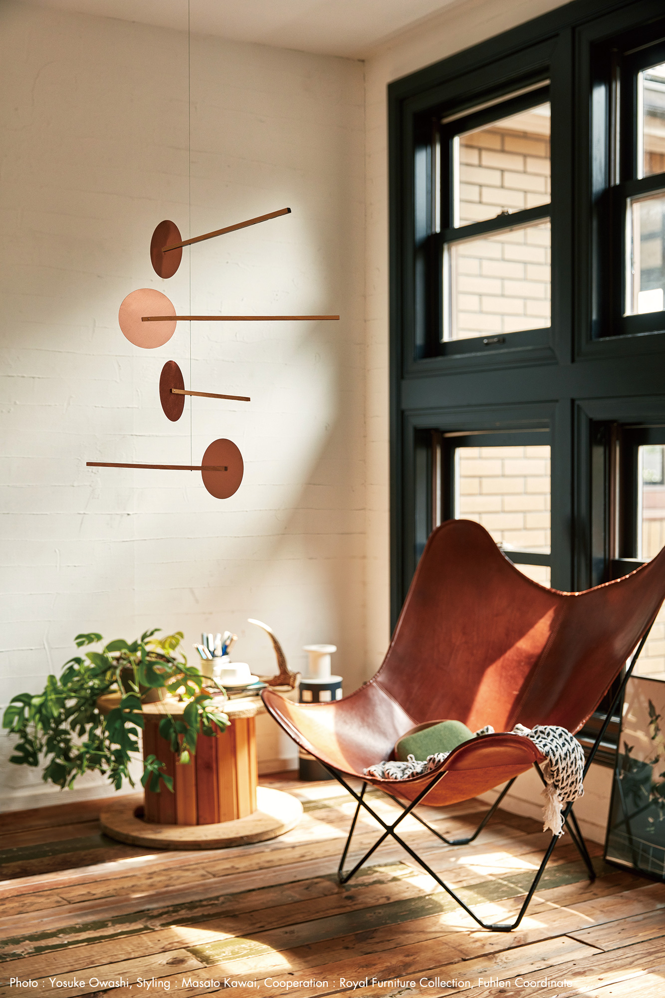 新商品 渡辺 力 / リキモビール シャンブル | 株式会社メトロポリタン