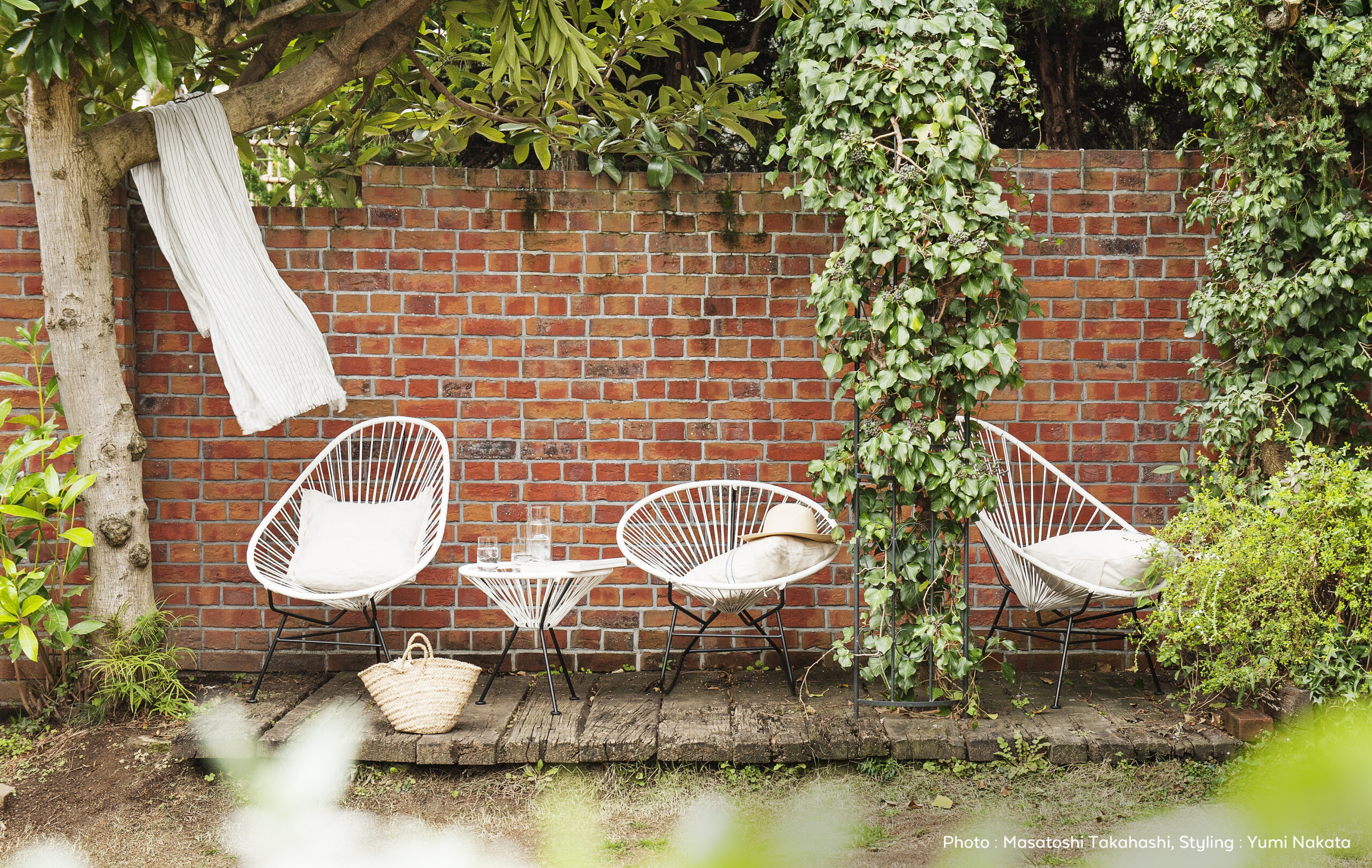 アカプルコチェアシリーズ/カラーバリエーションモデルチェンジの